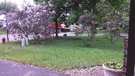 Image Not Available
