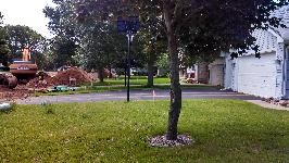 Image Not Available